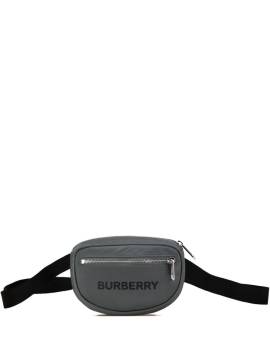 Burberry Pre-Owned 21st Century Cannon Bum Gürteltasche aus Nylon - Grau von Burberry