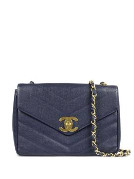 CHANEL Pre-Owned 1995 Classic Flap Schultertasche - Blau von CHANEL Pre-Owned