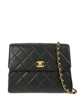 CHANEL Pre-Owned 1995 Classic Flap Schultertasche - Schwarz von CHANEL Pre-Owned