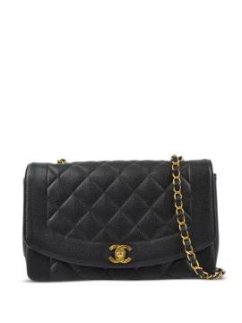 CHANEL Pre-Owned 1995 Mittelgroße Diana Schultertasche - Schwarz von CHANEL Pre-Owned