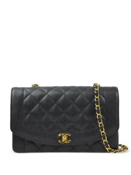 CHANEL Pre-Owned 1995 Mittelgroße Diana Schultertasche - Schwarz von CHANEL Pre-Owned