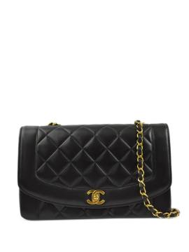 CHANEL Pre-Owned 1995 Mittelgroße Diana Schultertasche - Schwarz von CHANEL Pre-Owned