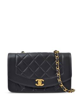 CHANEL Pre-Owned 1995 kleine Diana Schultertasche - Schwarz von CHANEL Pre-Owned