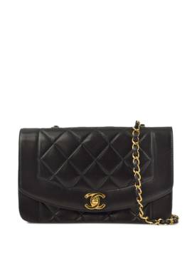 CHANEL Pre-Owned 1995 kleine Diana Schultertasche - Schwarz von CHANEL Pre-Owned