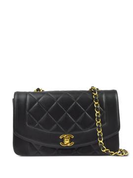 CHANEL Pre-Owned 1997 kleine Diana Schultertasche - Schwarz von CHANEL Pre-Owned