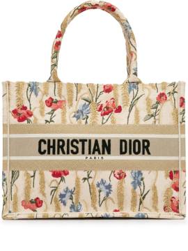 Christian Dior Pre-Owned 2020 mittelgroße Book Tote Bag - Braun von Christian Dior