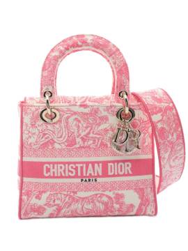 Christian Dior Pre-Owned 2020s mittelgroße Lady D-Lite Tote Bag - Rosa von Christian Dior