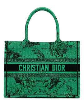 Christian Dior Pre-Owned 2021 mittelgroße Book Tote Bag aus Canvas mit Stickerei - Grün von Christian Dior