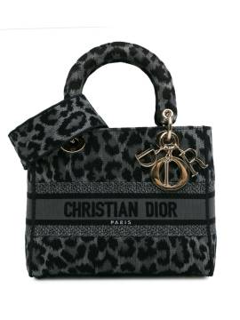 Christian Dior Pre-Owned 2021 mittelgroße Mizza Lady D-Lite Satteltasche - Grau von Christian Dior