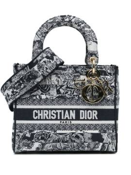 Christian Dior Pre-Owned 2021 mittelgroße Toile de Jouy Lady D-Lite Satchel-Tasche - Blau von Christian Dior