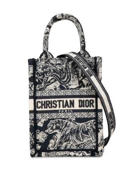 Christian Dior Pre-Owned 2022 mini Toile de Jouy Reverse Vertical Book Tote Bag - Blau von Christian Dior