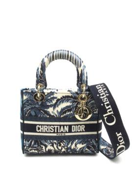 Christian Dior Pre-Owned Mittelgroße Lady D-Lite Handtasche - Blau von Christian Dior