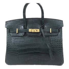 Hermès Birkin 25 Aligator Handtaschen von Hermès
