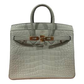 Hermès Birkin 25 Aligator Handtaschen von Hermès
