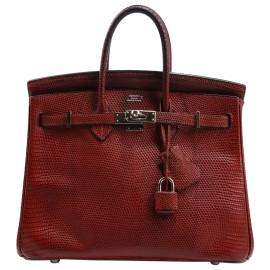 Hermès Birkin 25 Echse Handtaschen von Hermès