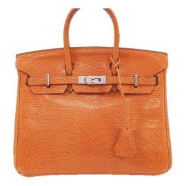 Hermès Birkin 25 Echse Handtaschen von Hermès