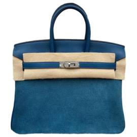 Hermès Birkin 25 Samt Handtaschen von Hermès