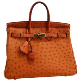 Hermès Birkin 25 Vogelstrauß Handtaschen von Hermès