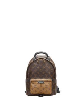 Louis Vuitton Pre-Owned 2006 pre-owned Palm Springs PM Rucksack - Braun von Louis Vuitton