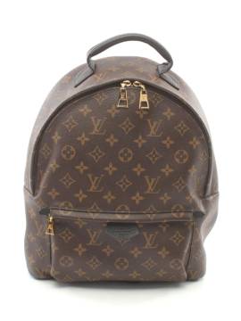 Louis Vuitton Pre-Owned 2019 Palm Springs MM Rucksack - Braun von Louis Vuitton