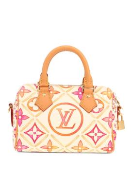 Louis Vuitton Pre-Owned 2020s Speedy Handtasche 20cm - Nude von Louis Vuitton