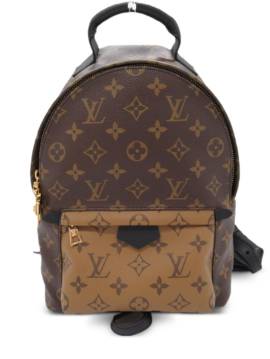 Louis Vuitton Pre-Owned 2021 Palm Springs Rucksack - Braun von Louis Vuitton