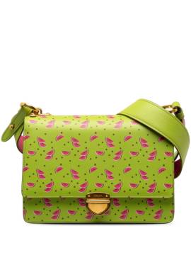 Prada Pre-Owned 2013-2023 Tasche mit Wassermelonen-Print - Grün von Prada